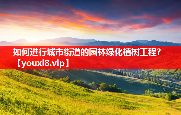 如何进行城市街道的园林绿化植树工程？